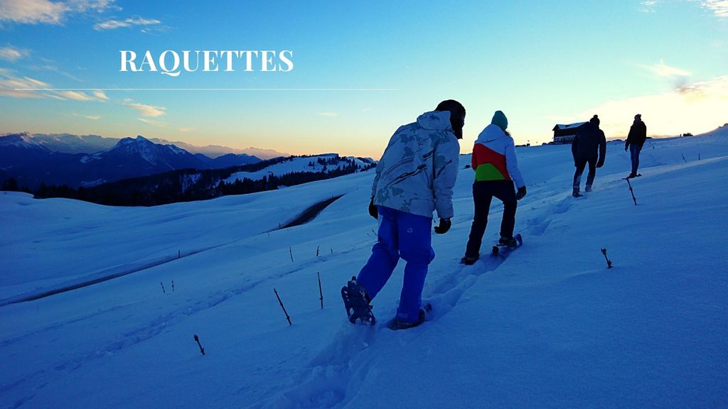 Snowshoeing in France