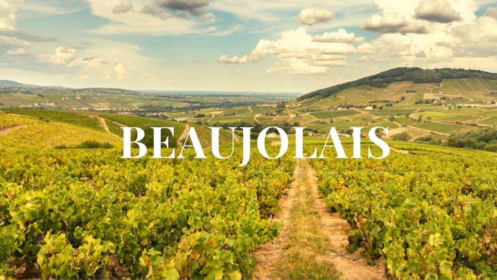 séminaire beaujolais 